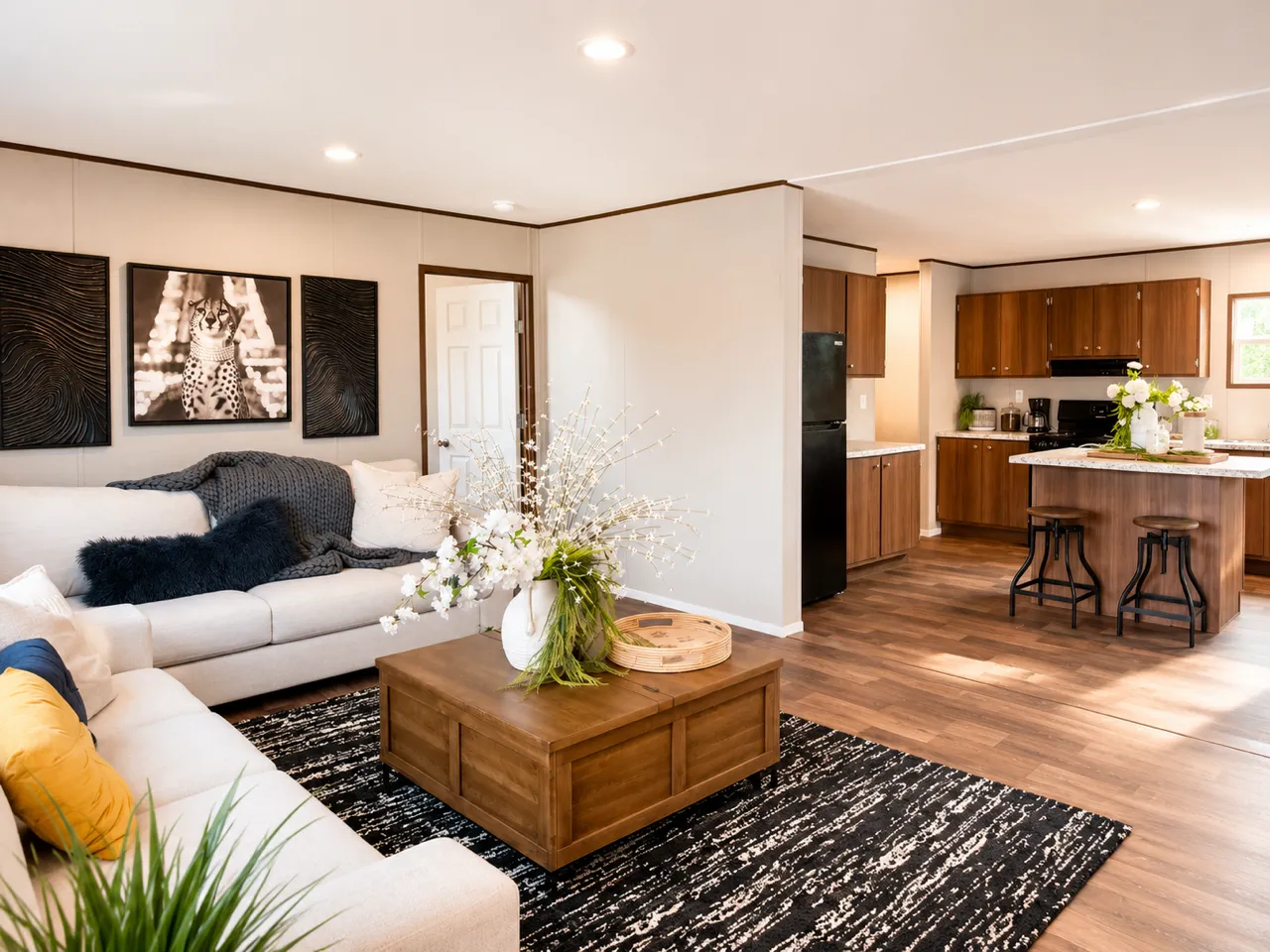 home image