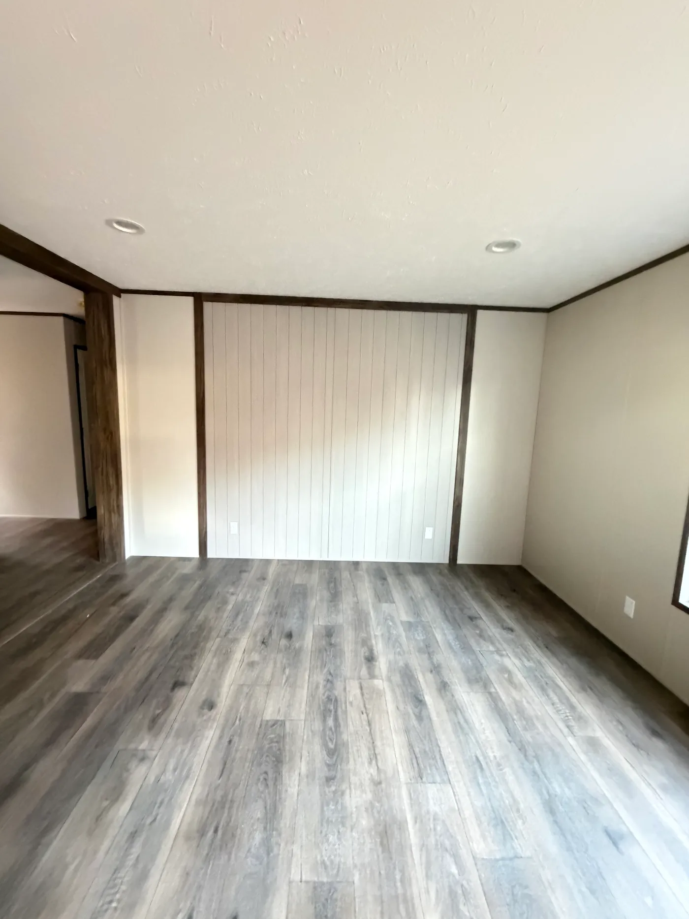 Shiplap style accent wall in LR