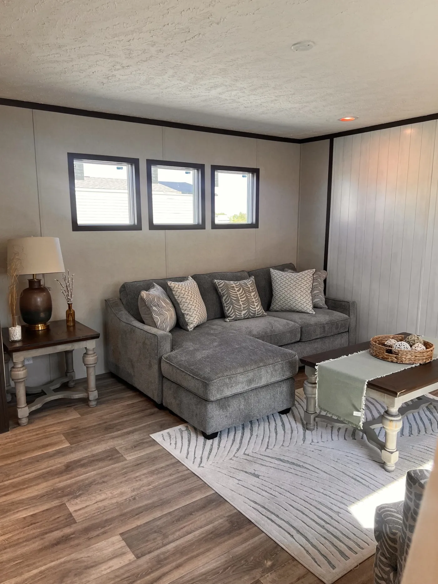 Three large windows bring in plenty of natural light, making the living room feel bright, open, and welcoming while adding a clean modern touch.