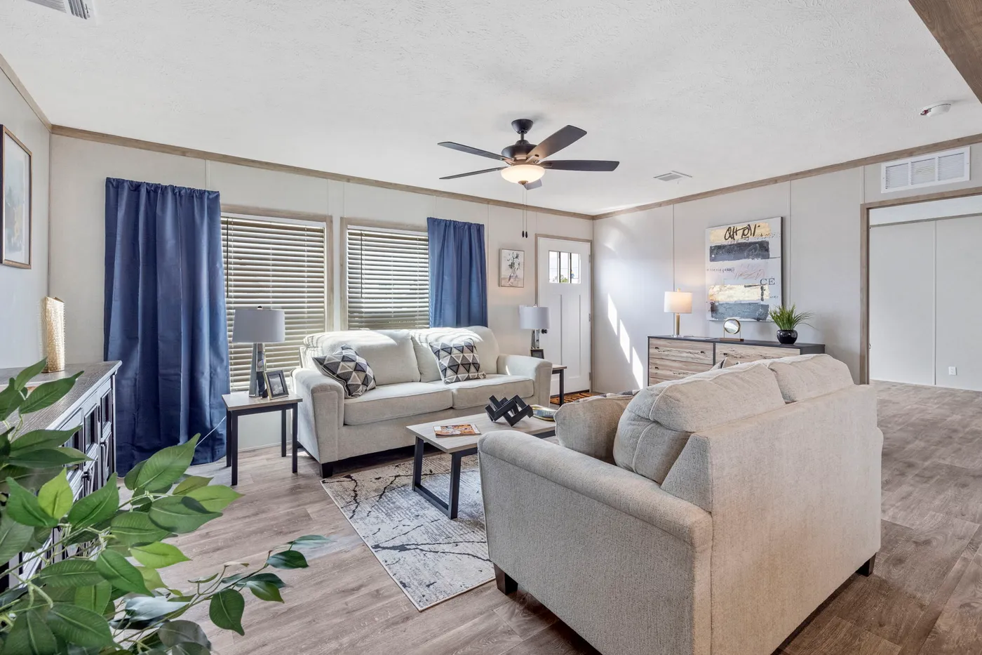 home image