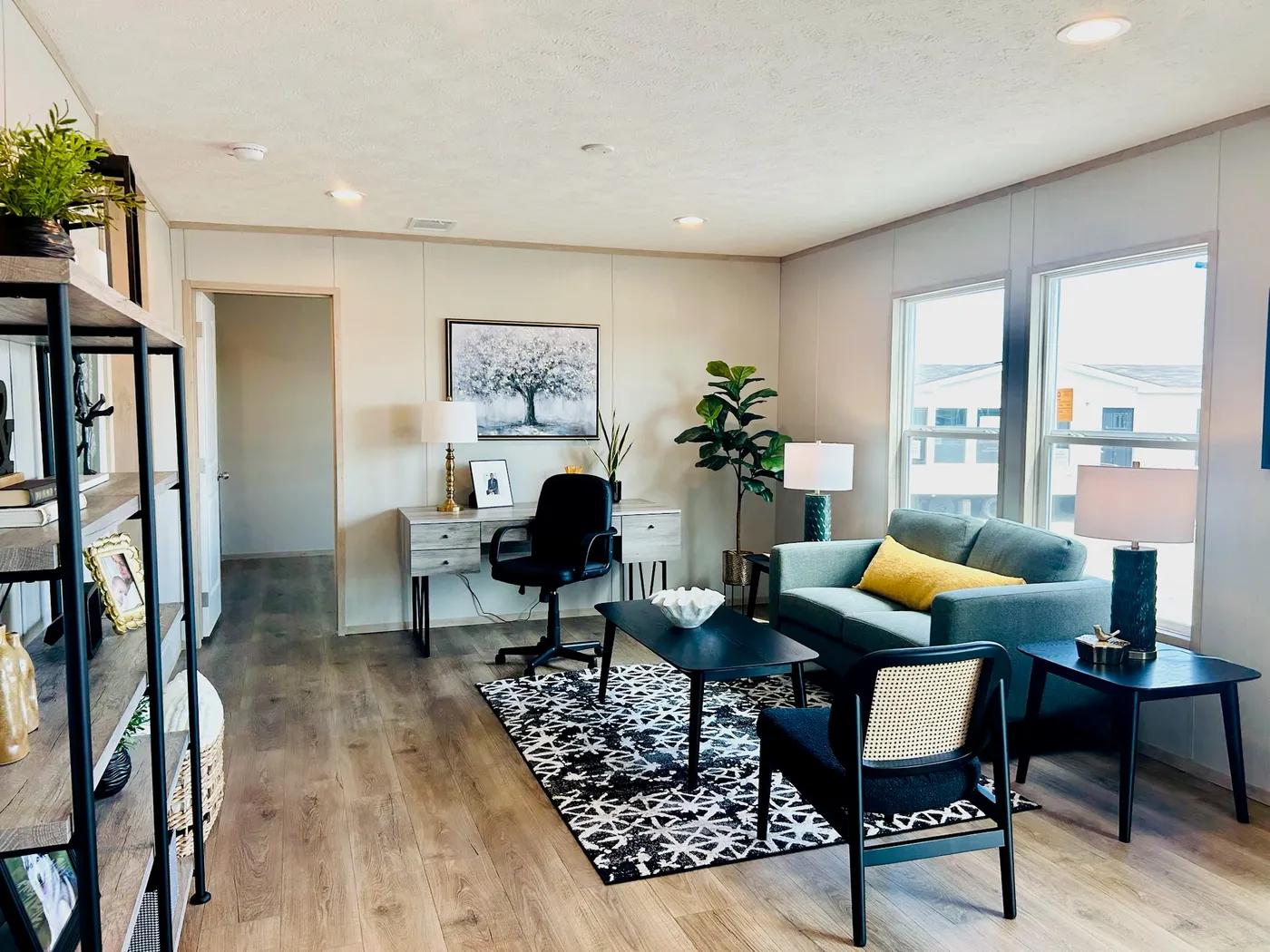 home image