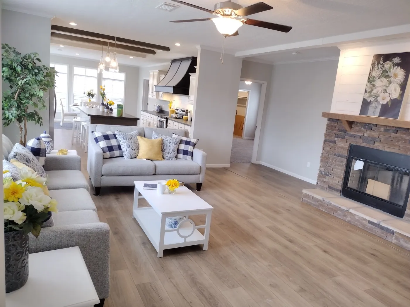 home image