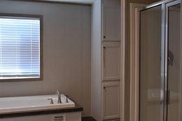Master Tub and Shower