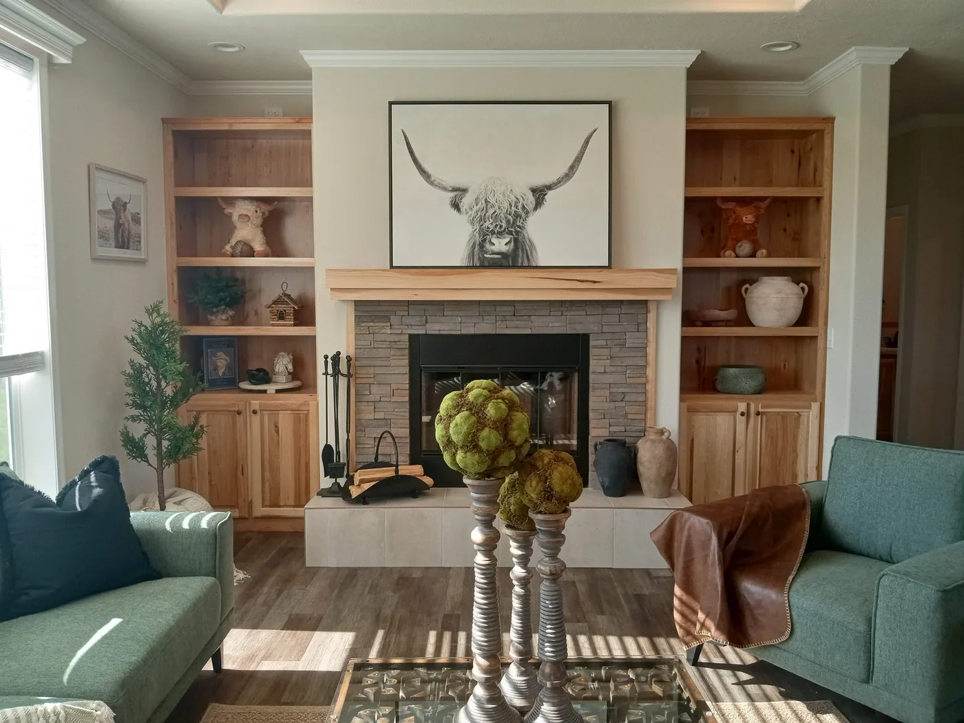 home image