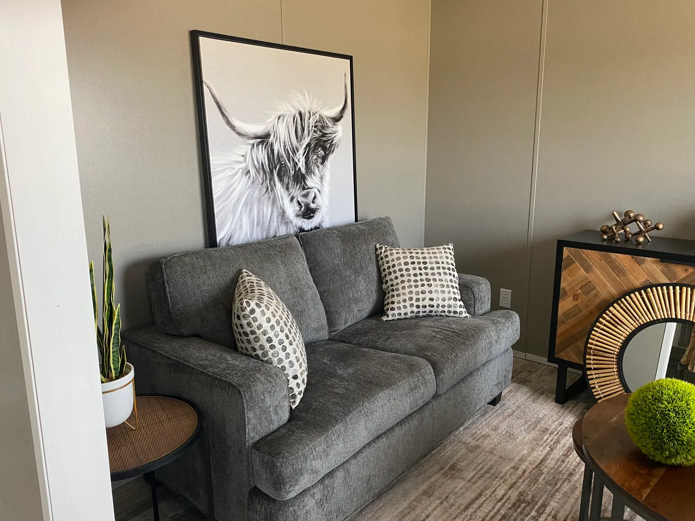 home image