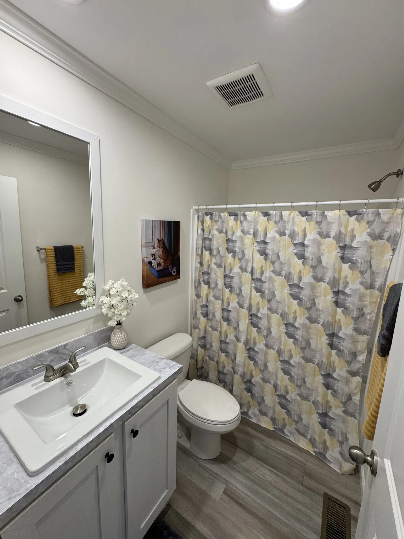 home image