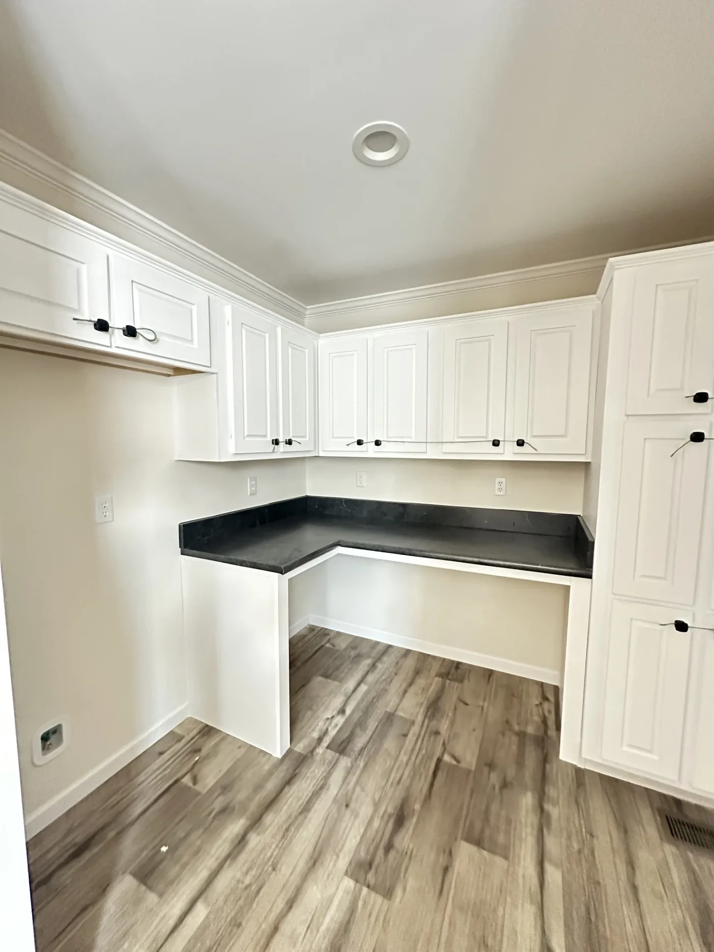 Large Pantry and Refrigerator area