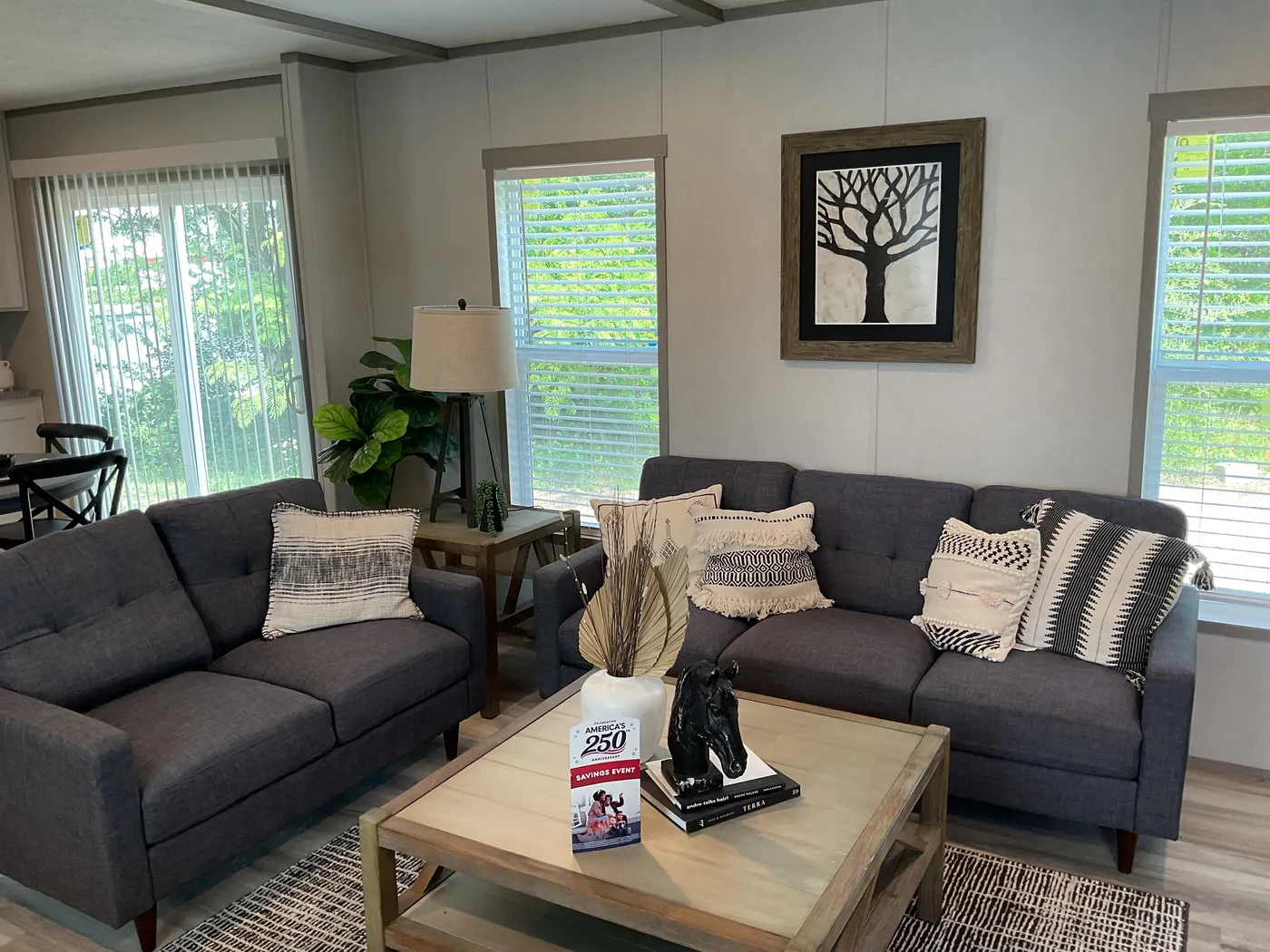 home image