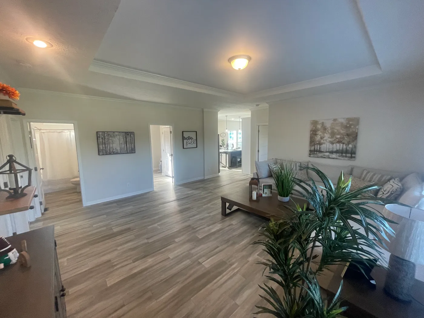 home image