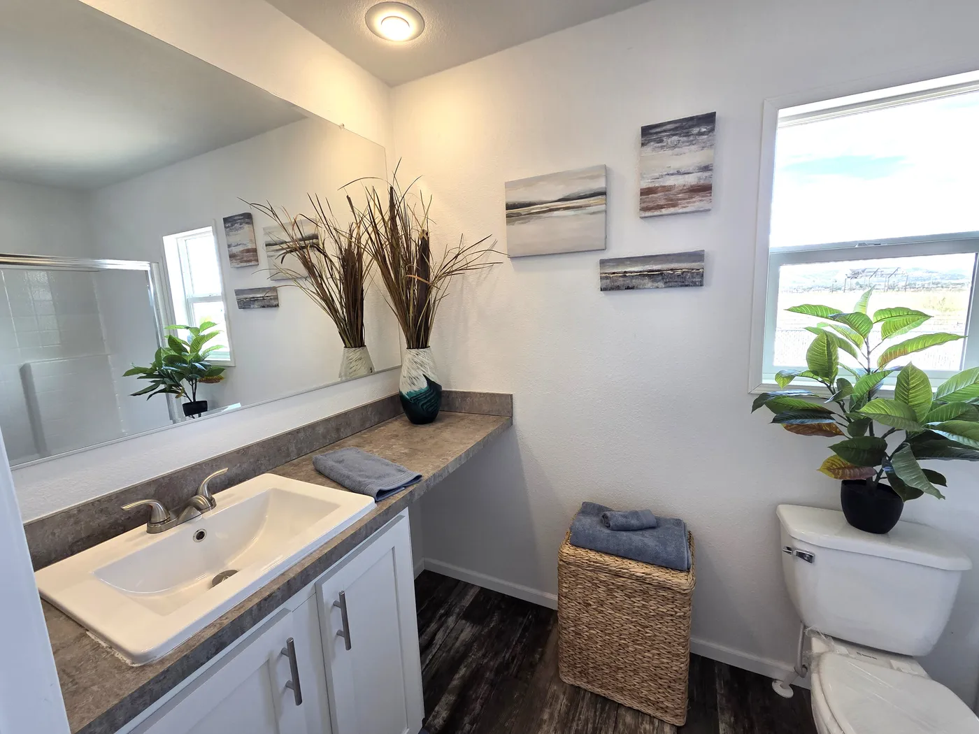 home image
