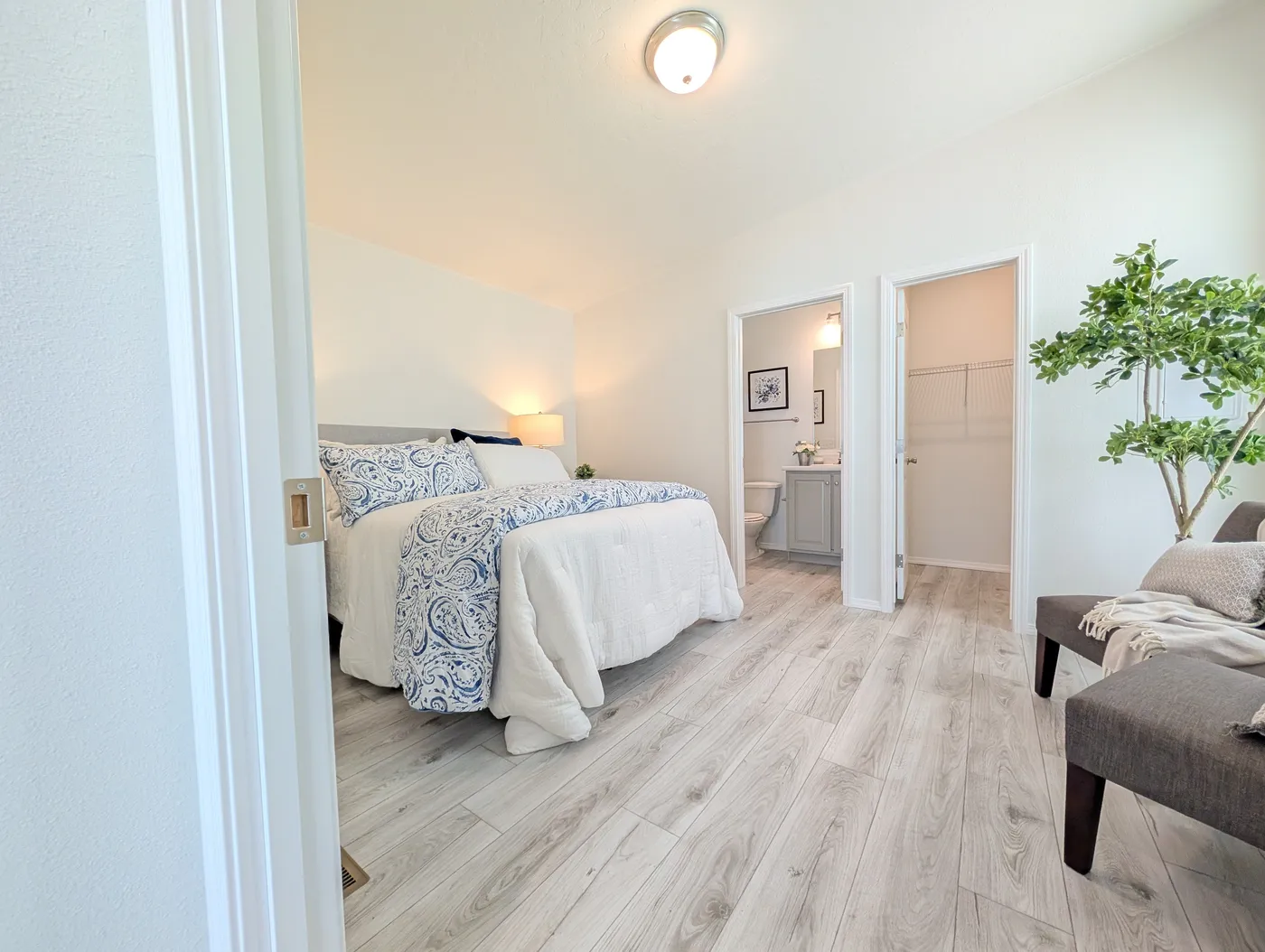 home image