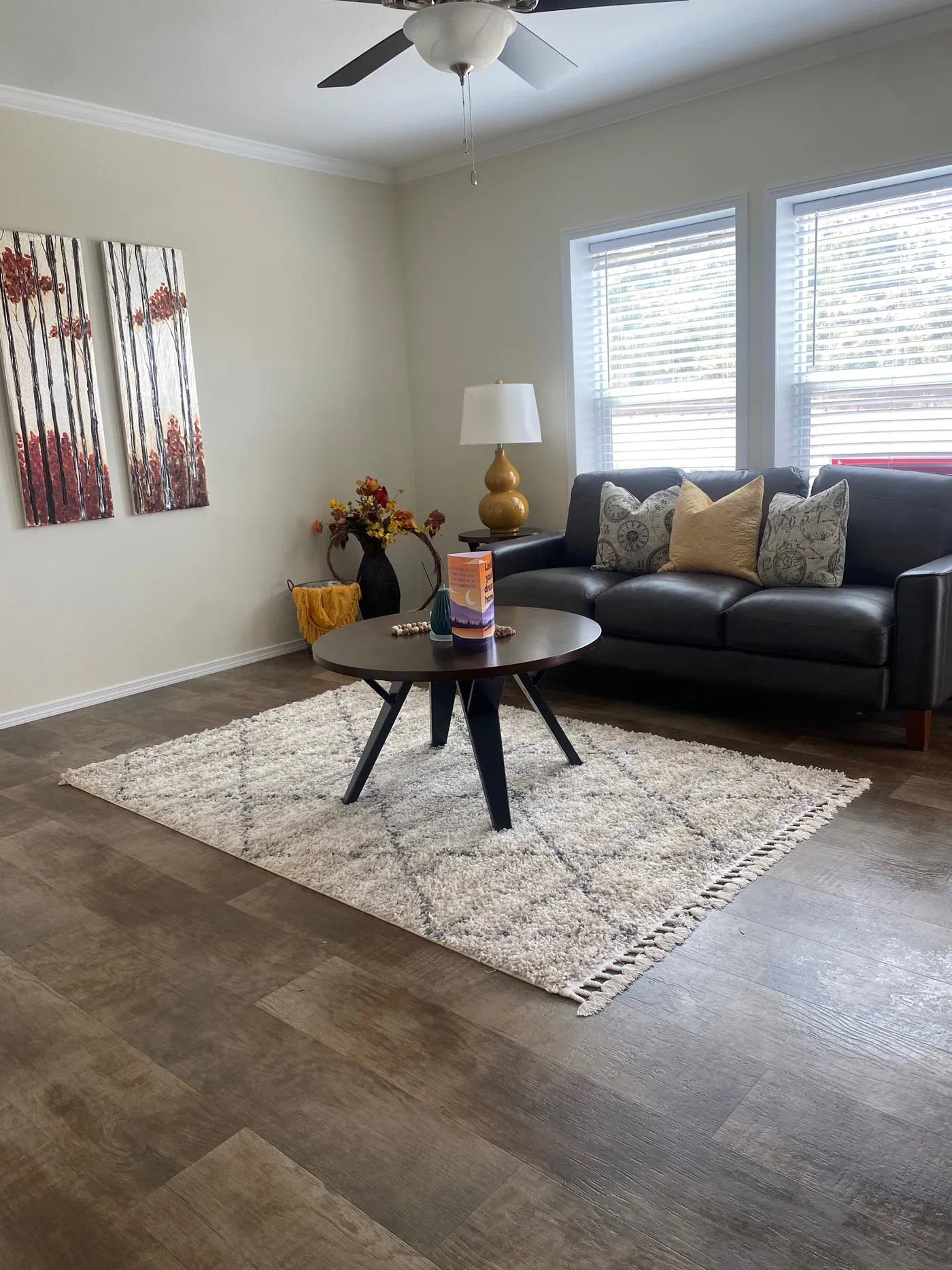 home image