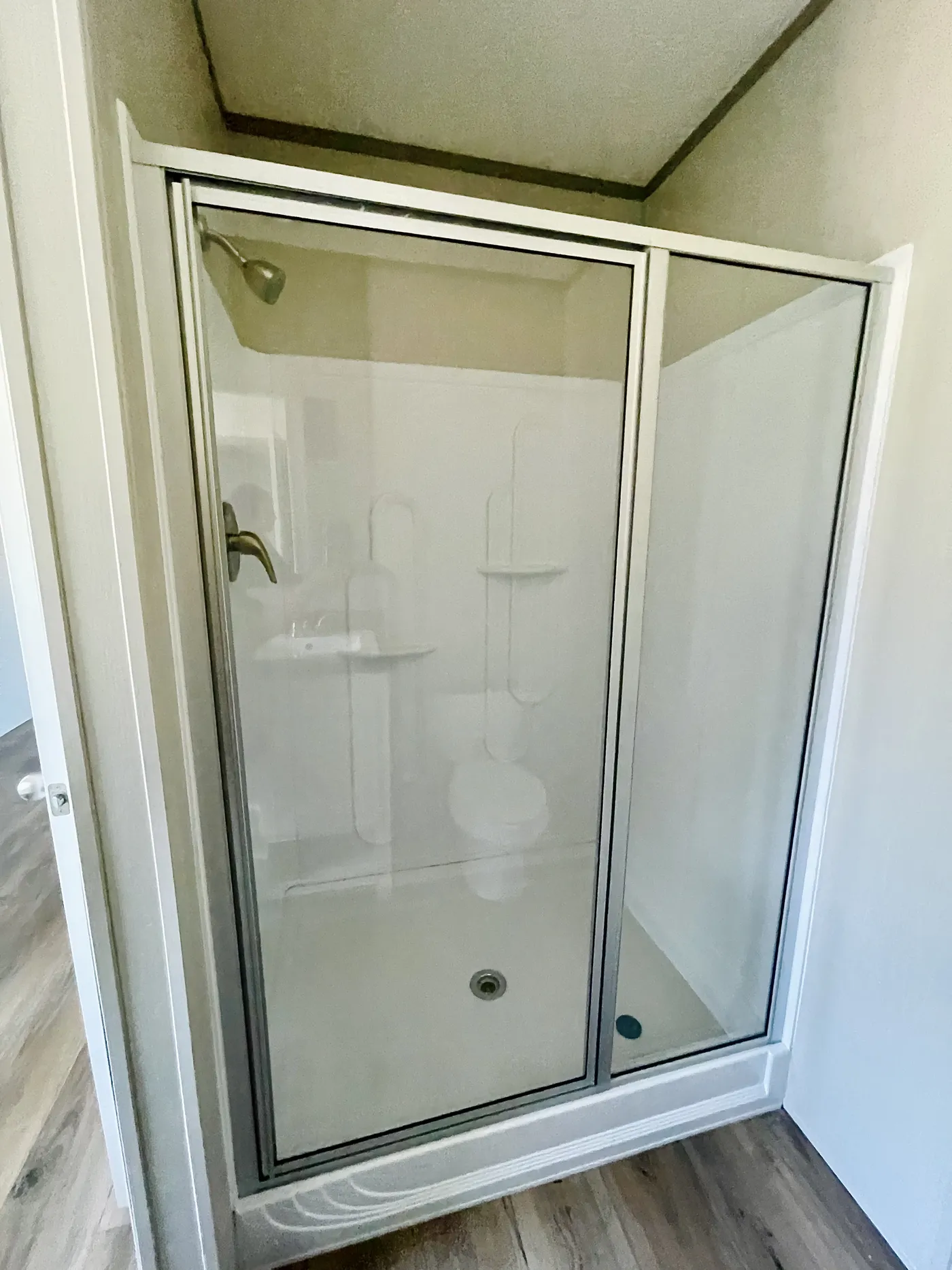 Primary Bath Walk-In Shower