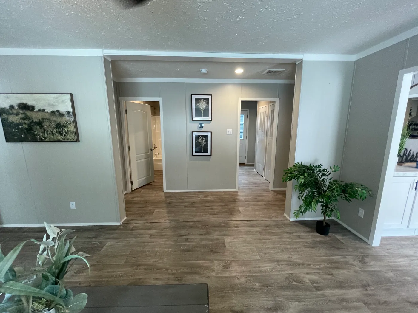 home image