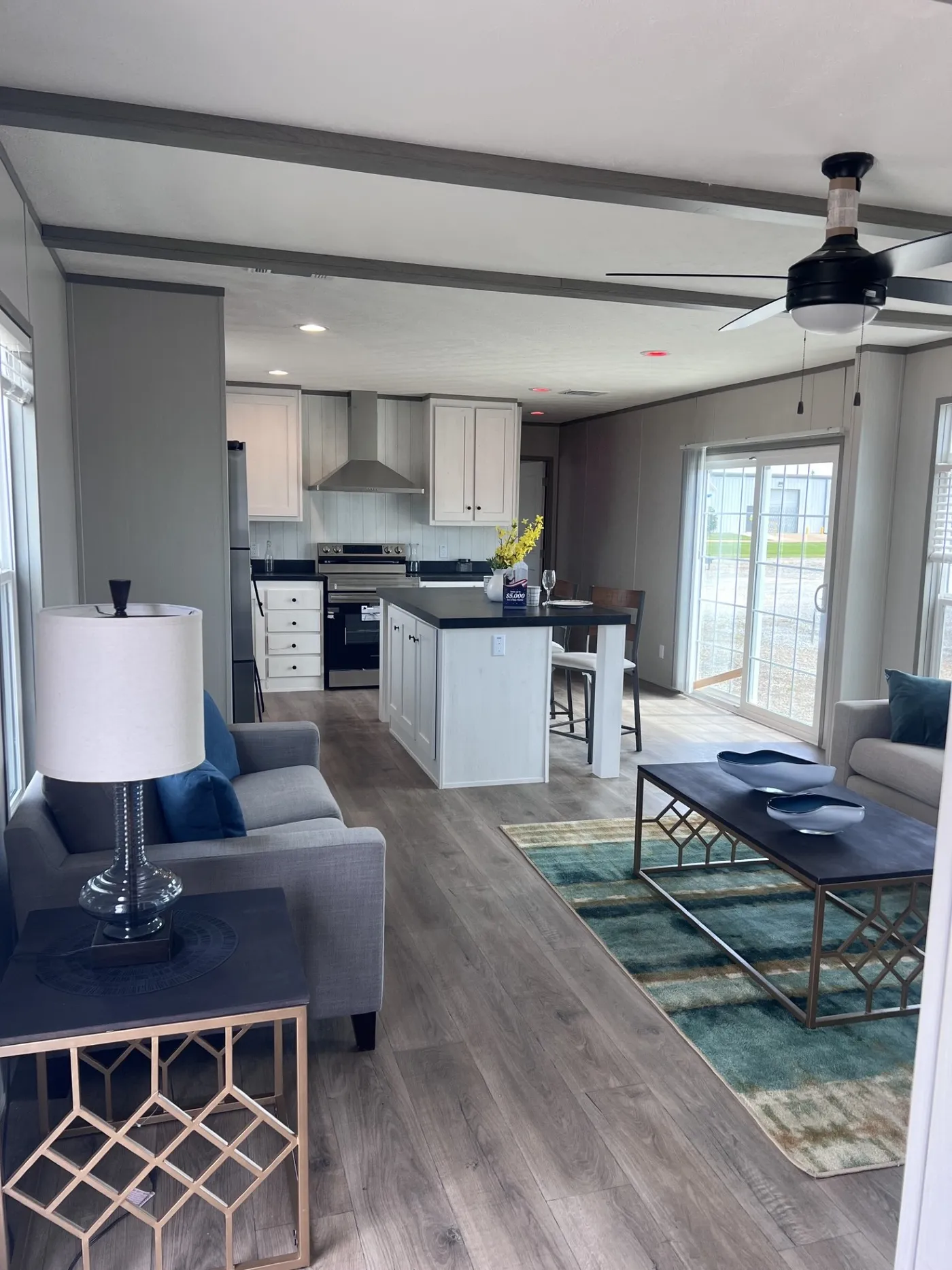 Large open floor plan with large living room