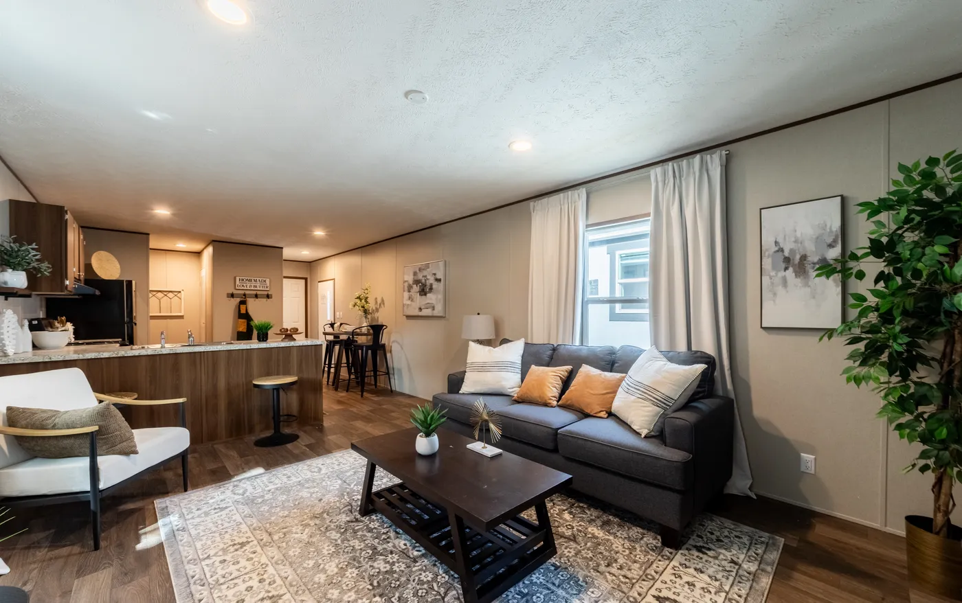 home image