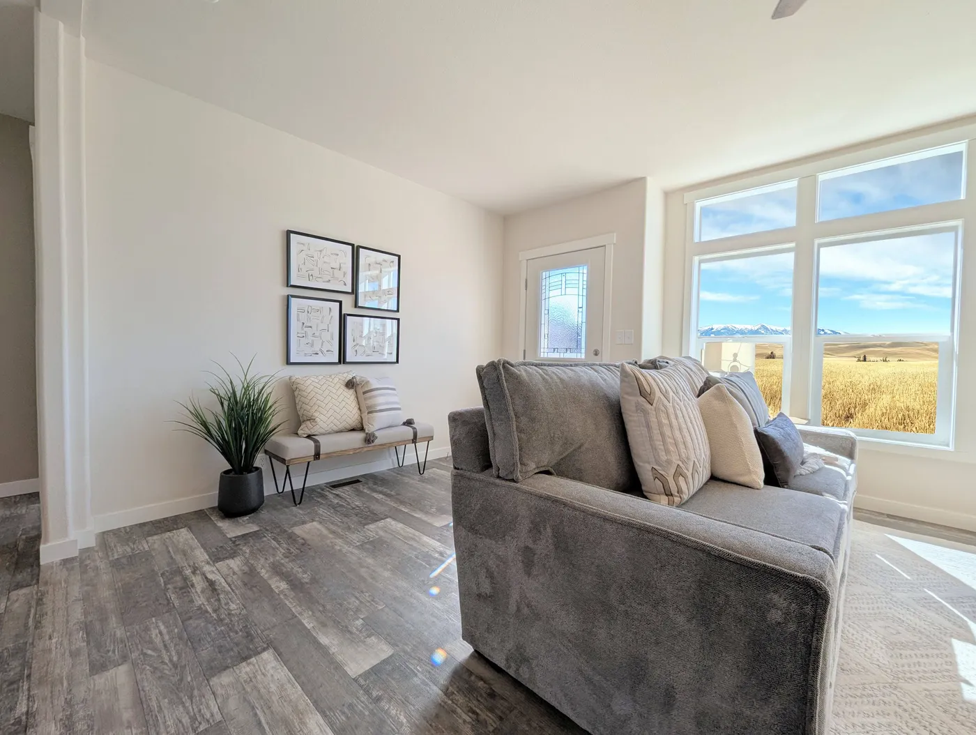 home image