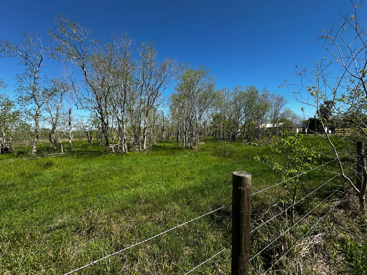Affordable Acre, Cheap, Ready To Move In, Land in Alvin