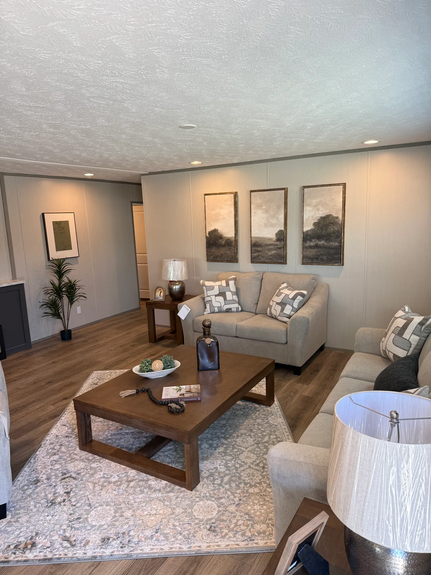 home image