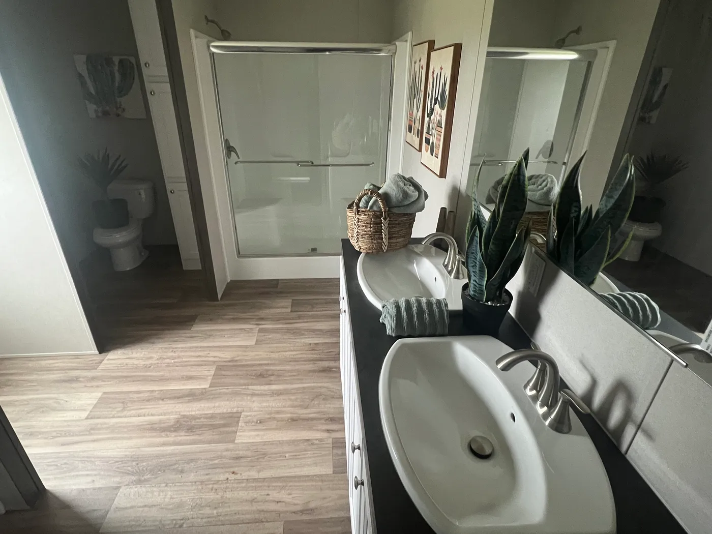 home image