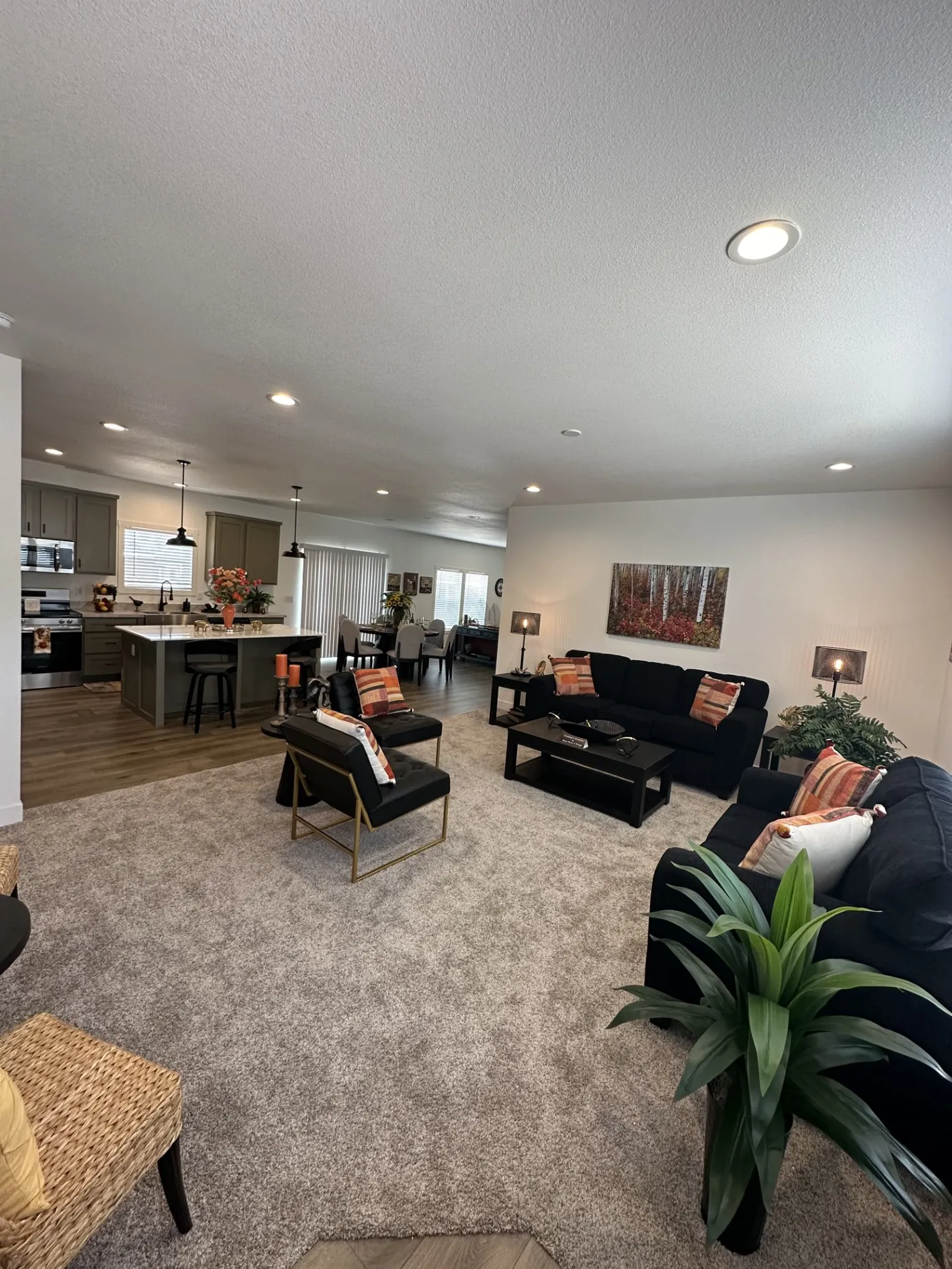 9 foot ceilings with 80" front windows 
