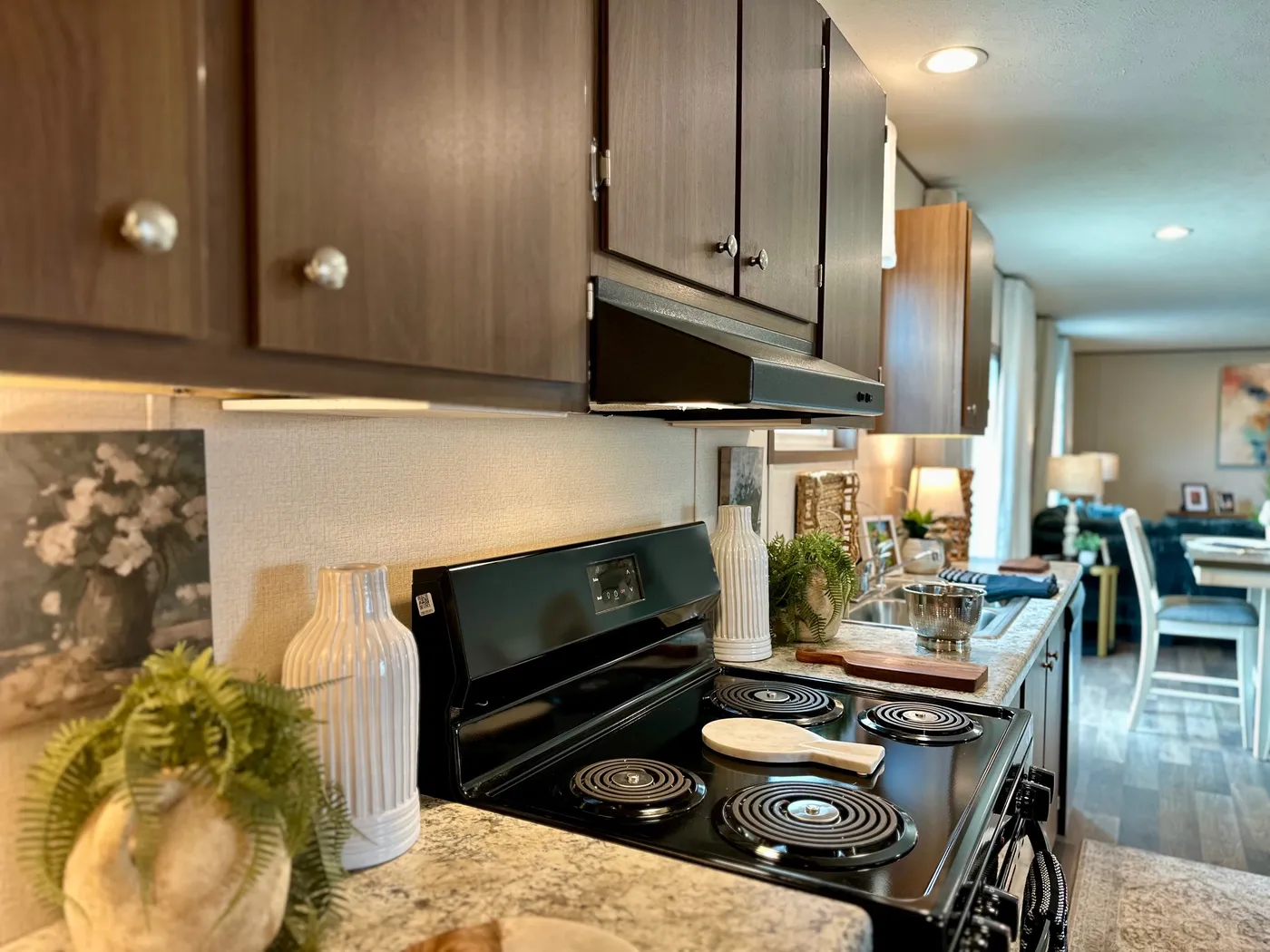 home image