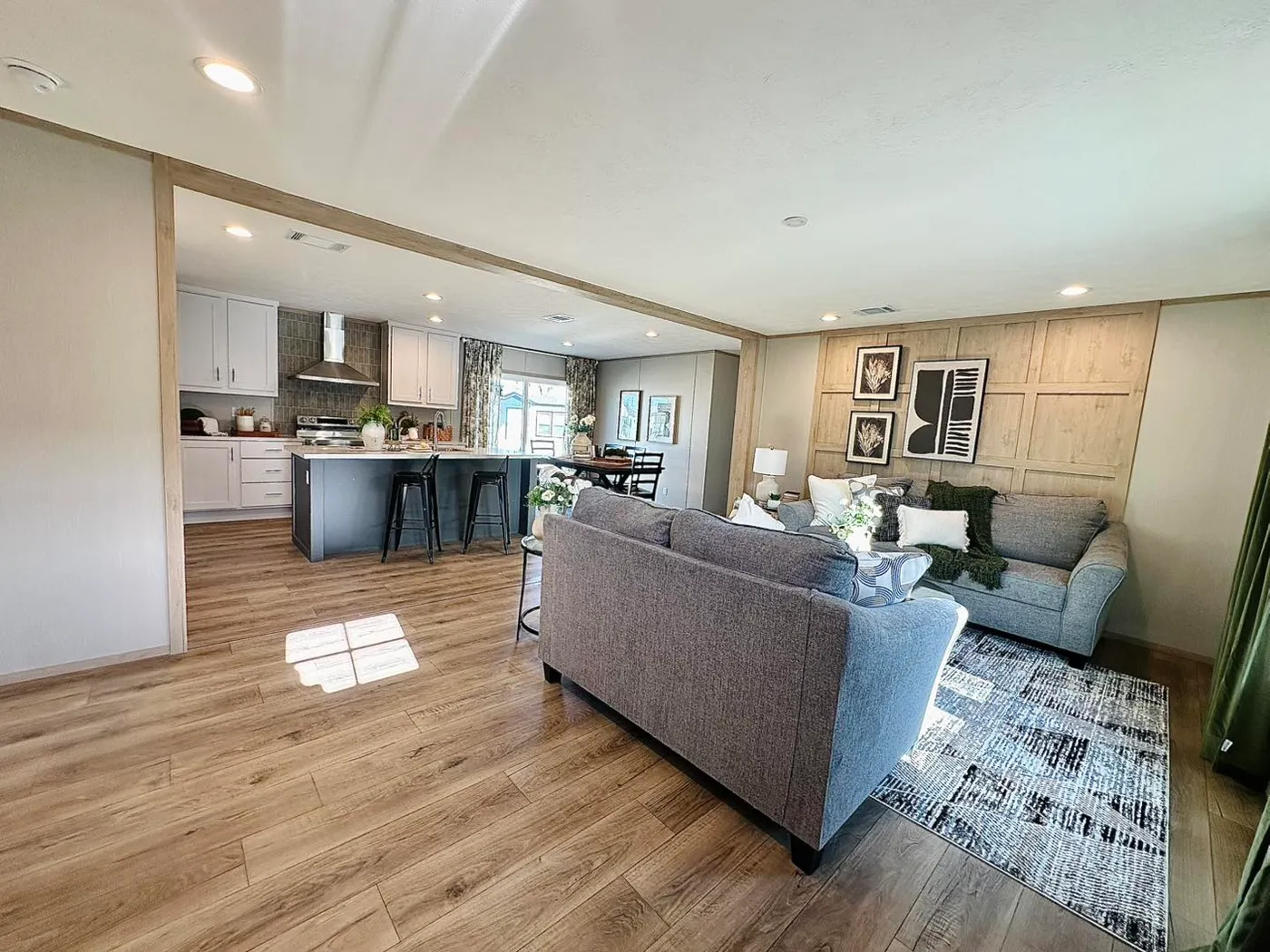 Living Room and Kitchen Open Concept