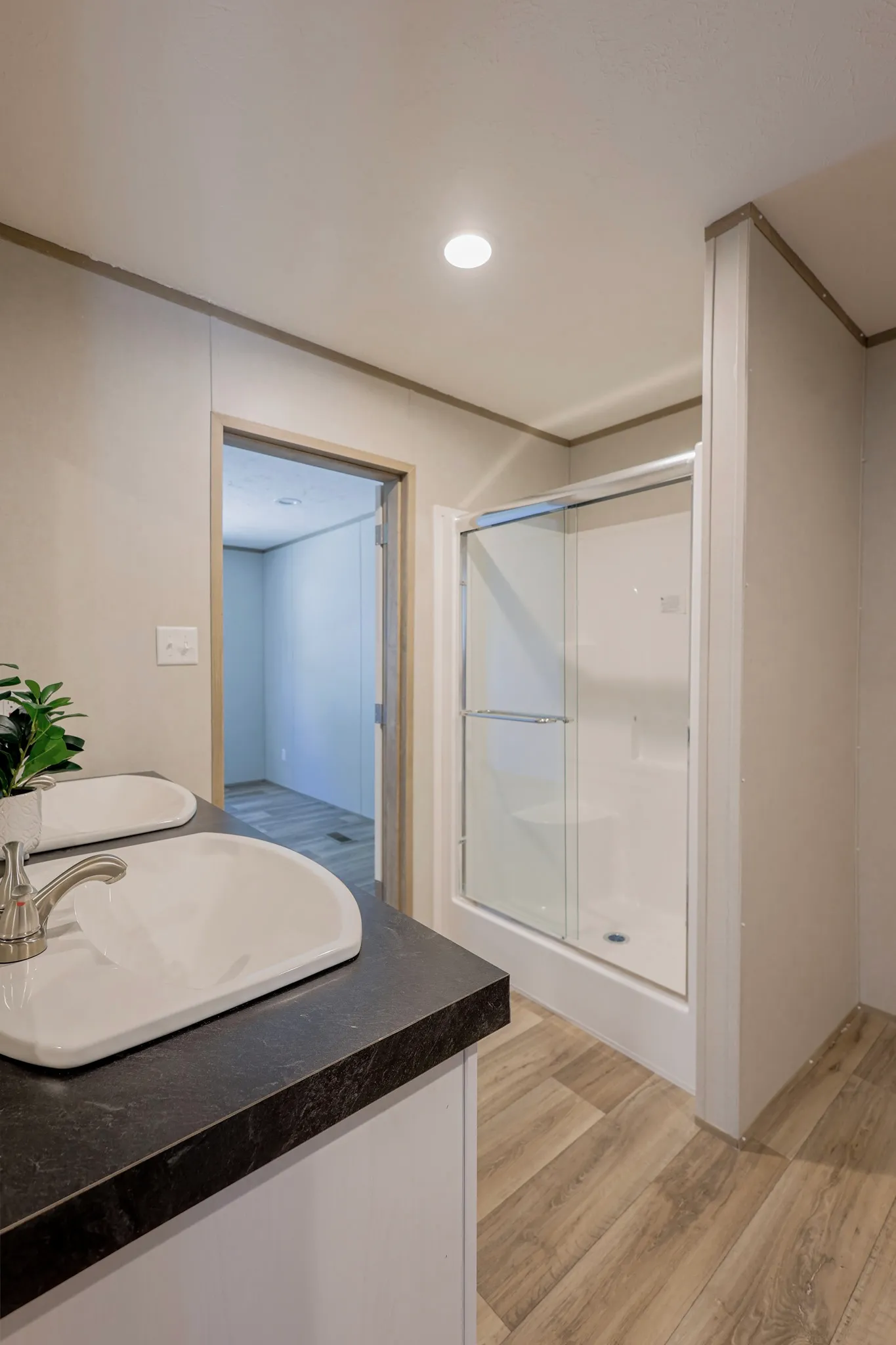 primary bathroom