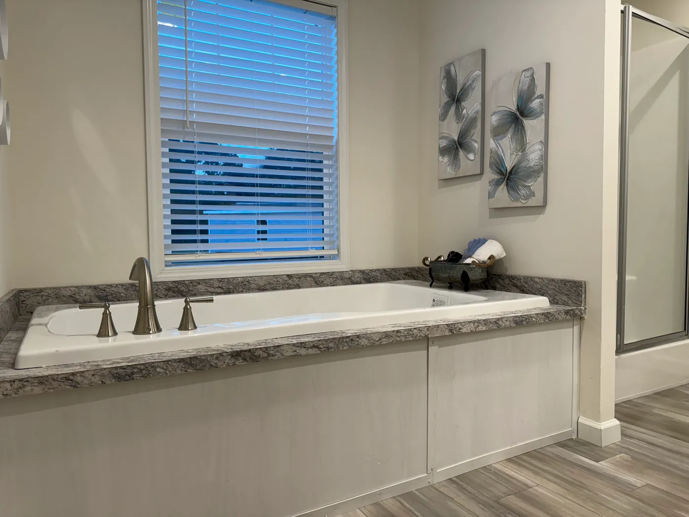 Large Soaking Tub With Separate Shower