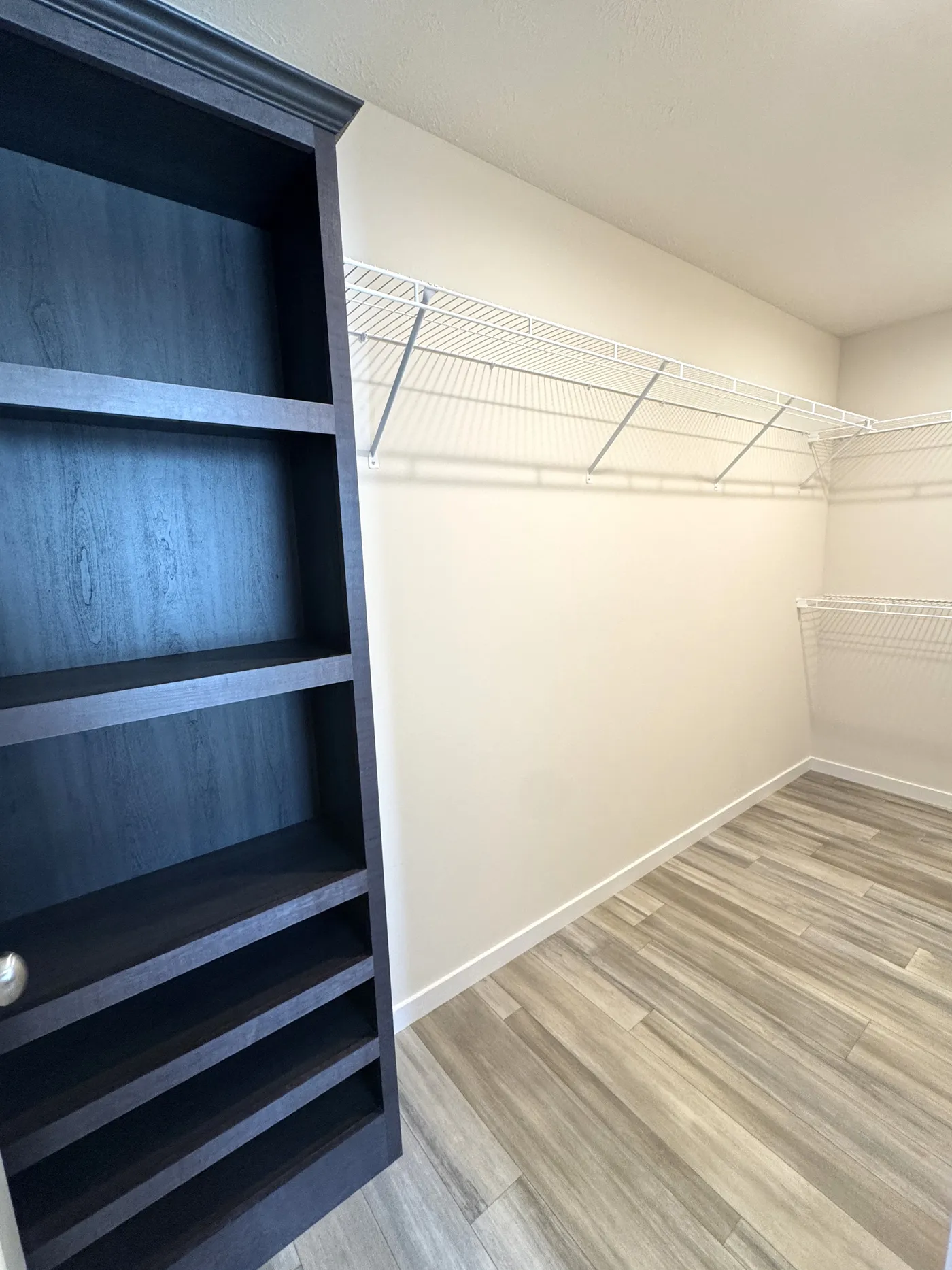 Primary walk-in closet 
