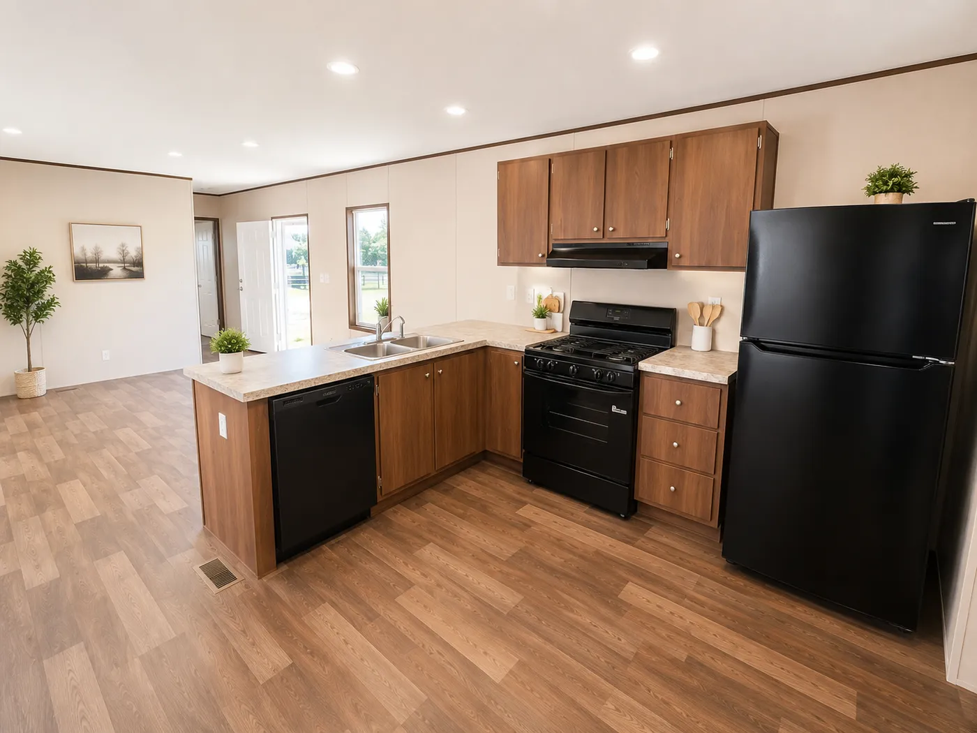 home image