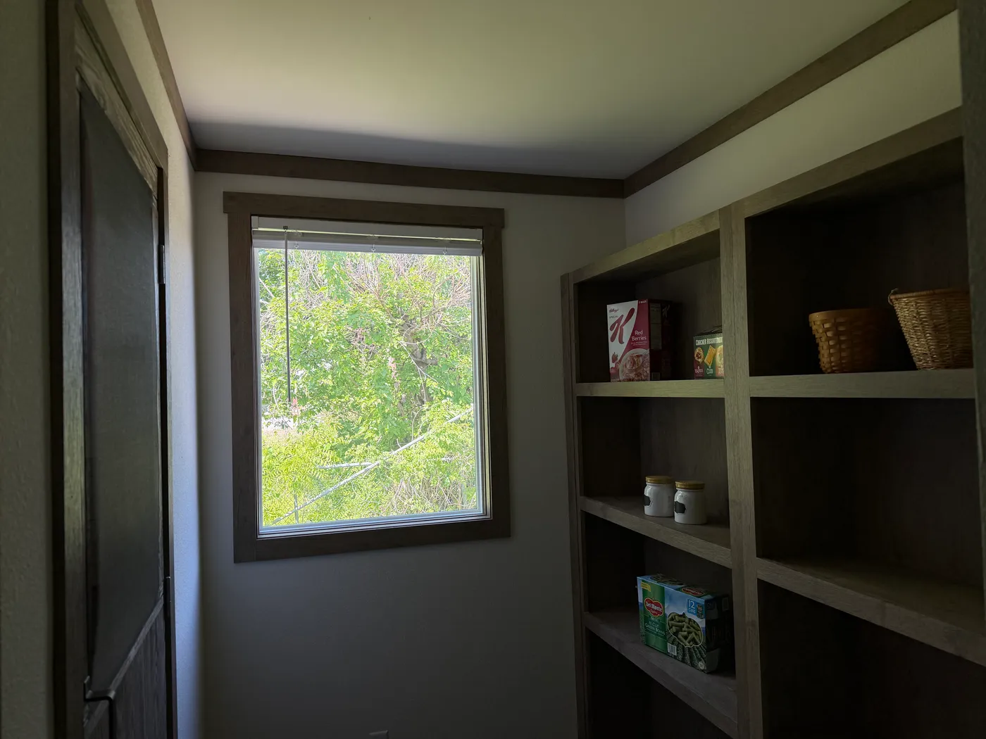 SPACIOUS Walk in Pantry