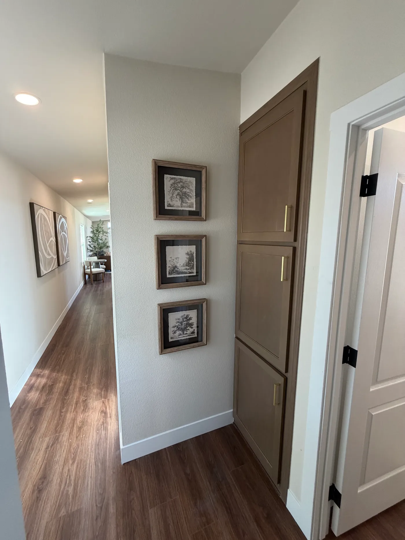 Linen closet right next to the washer & dryer hook-ups