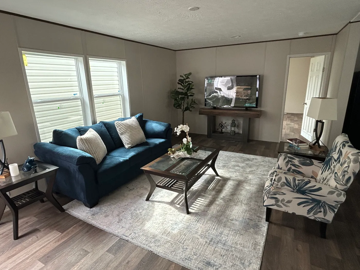 home image