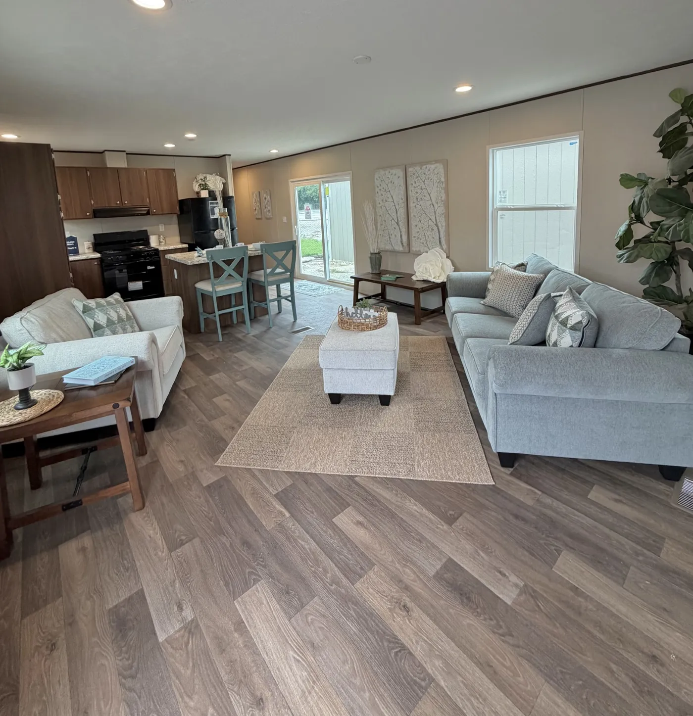 home image