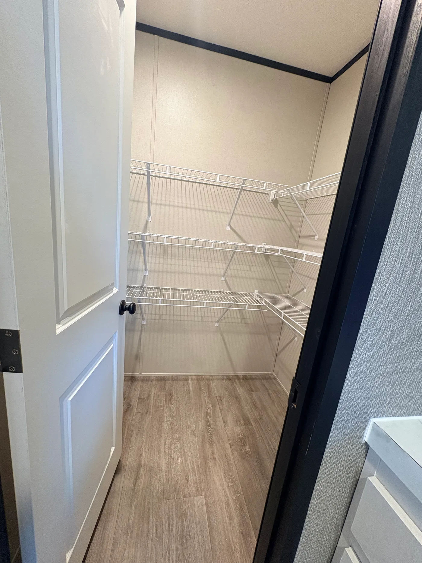 Walk-in pantry with shelving