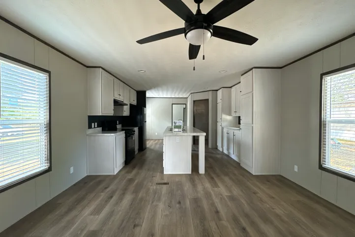 Living room and kitchen open concept