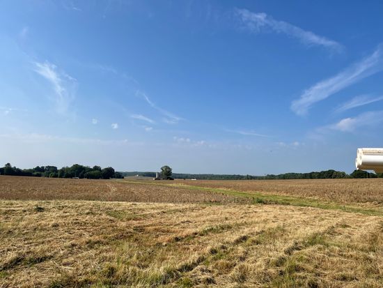 The Carolinian Knox Farms