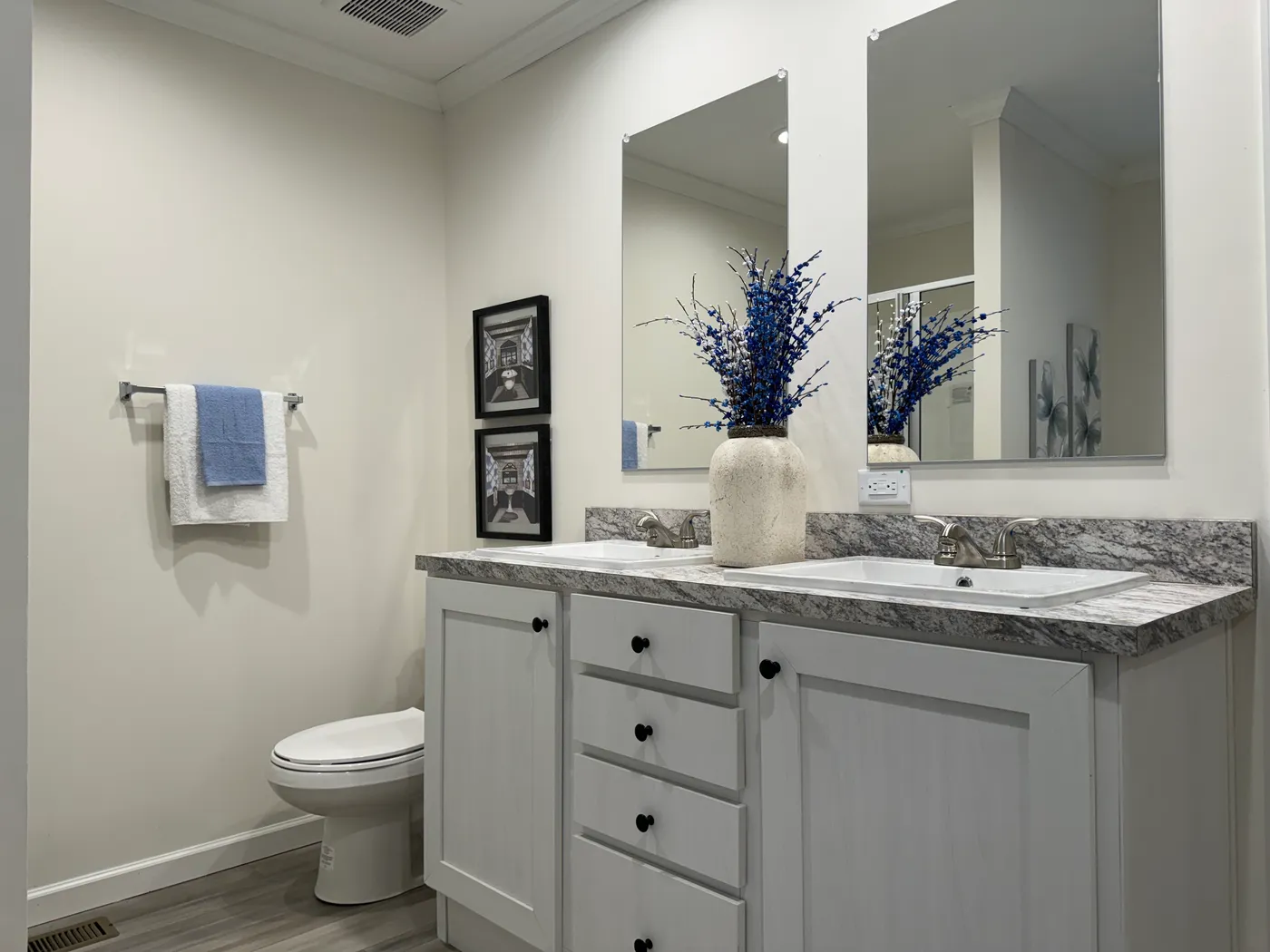 Double Sinks With Lots of Storage
