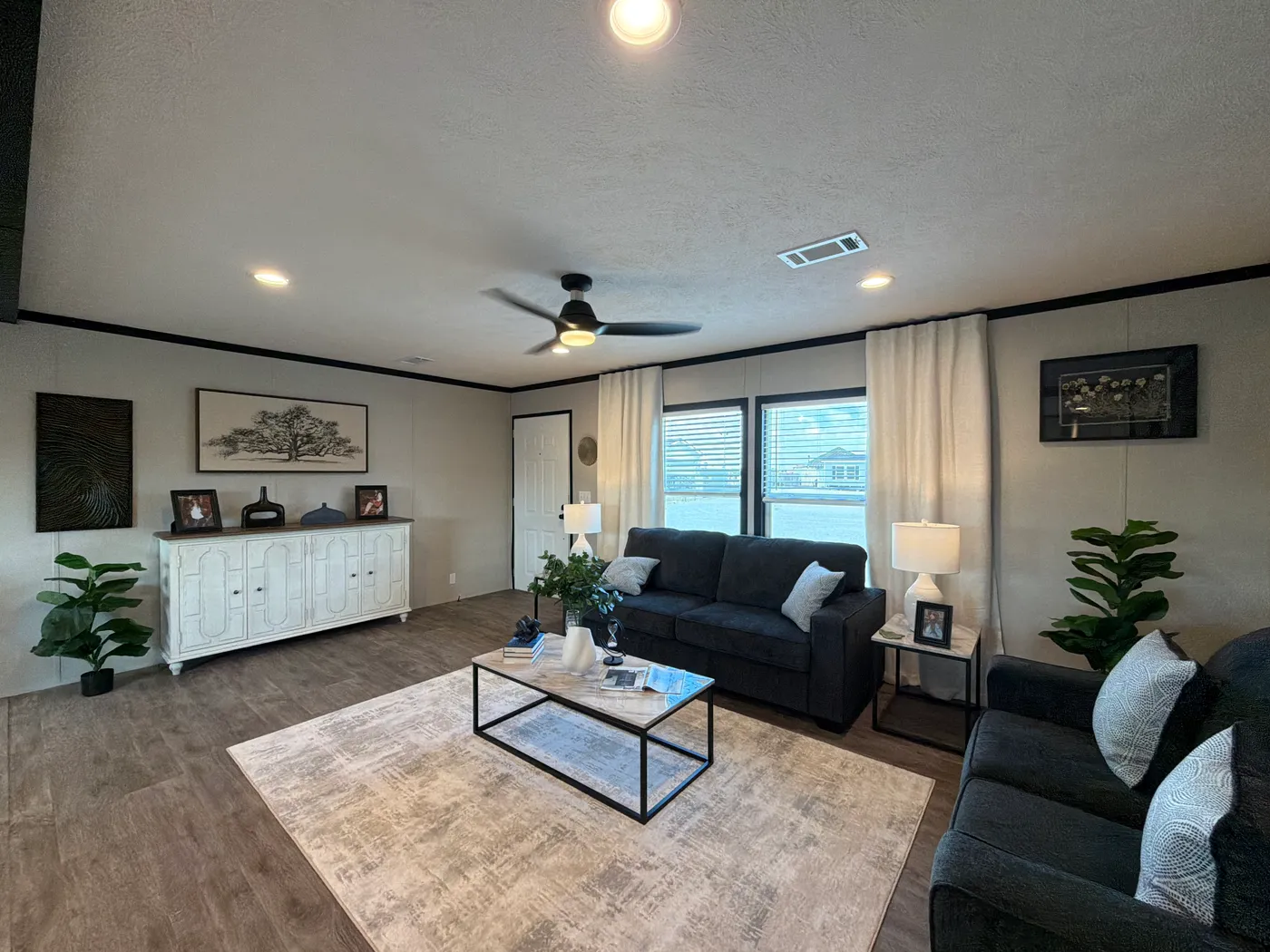 home image
