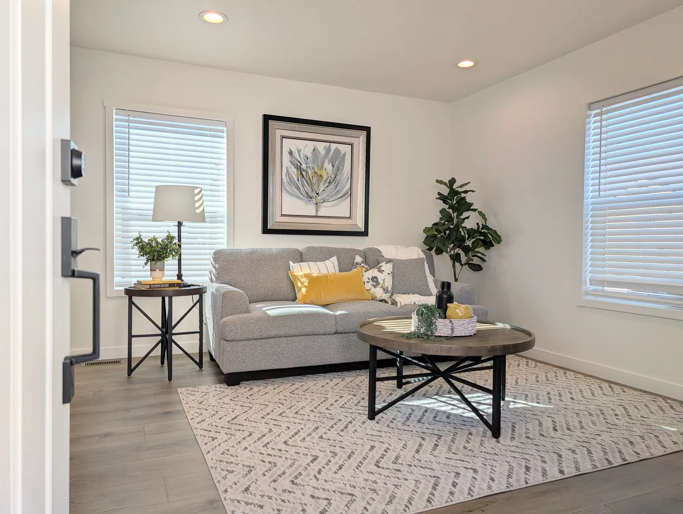 home image