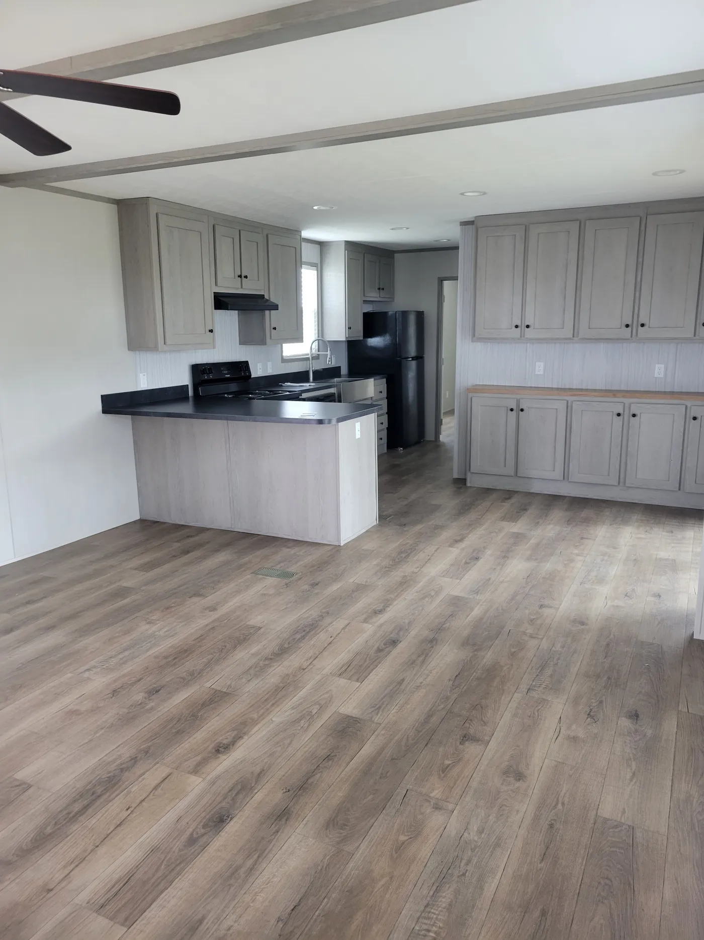 Large living room