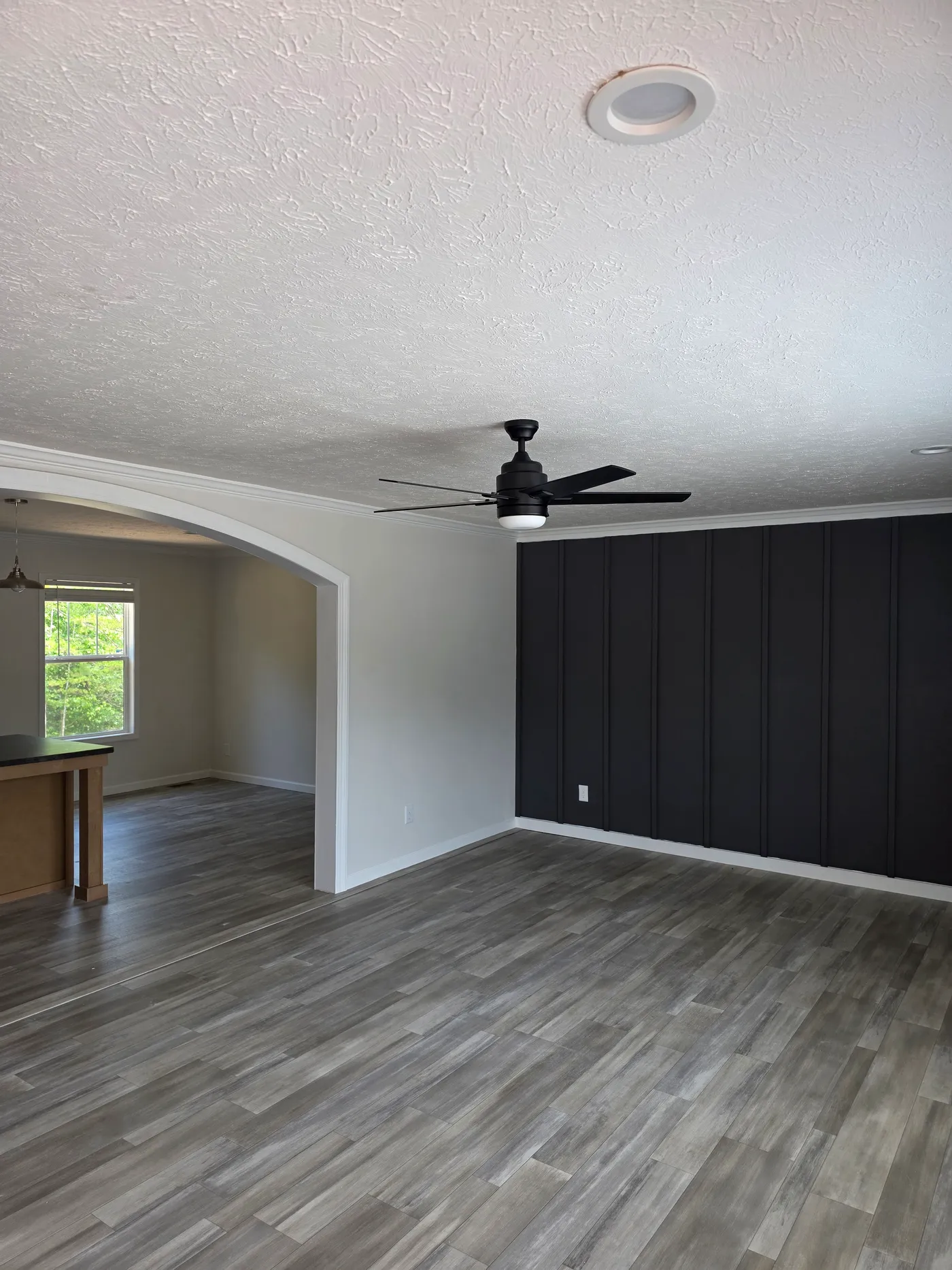 Feature wall & ceiling fan in living room.  