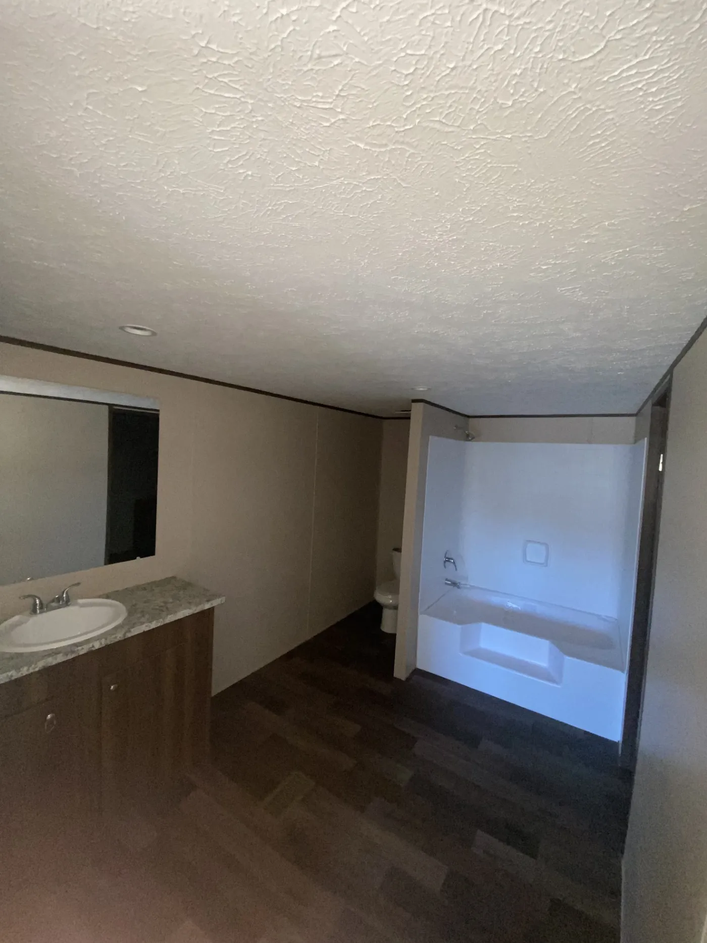 Primary Bathroom Tub / Shower Combo