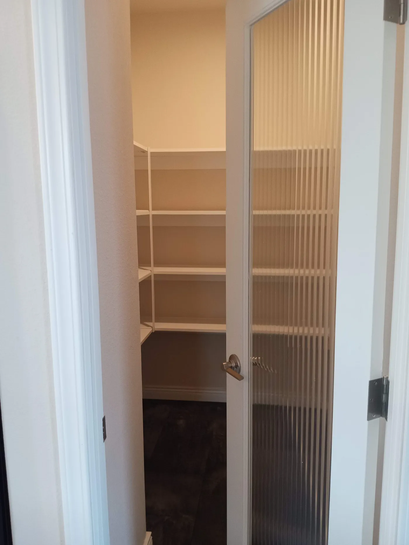 Spacious pantry with ribbed glass door