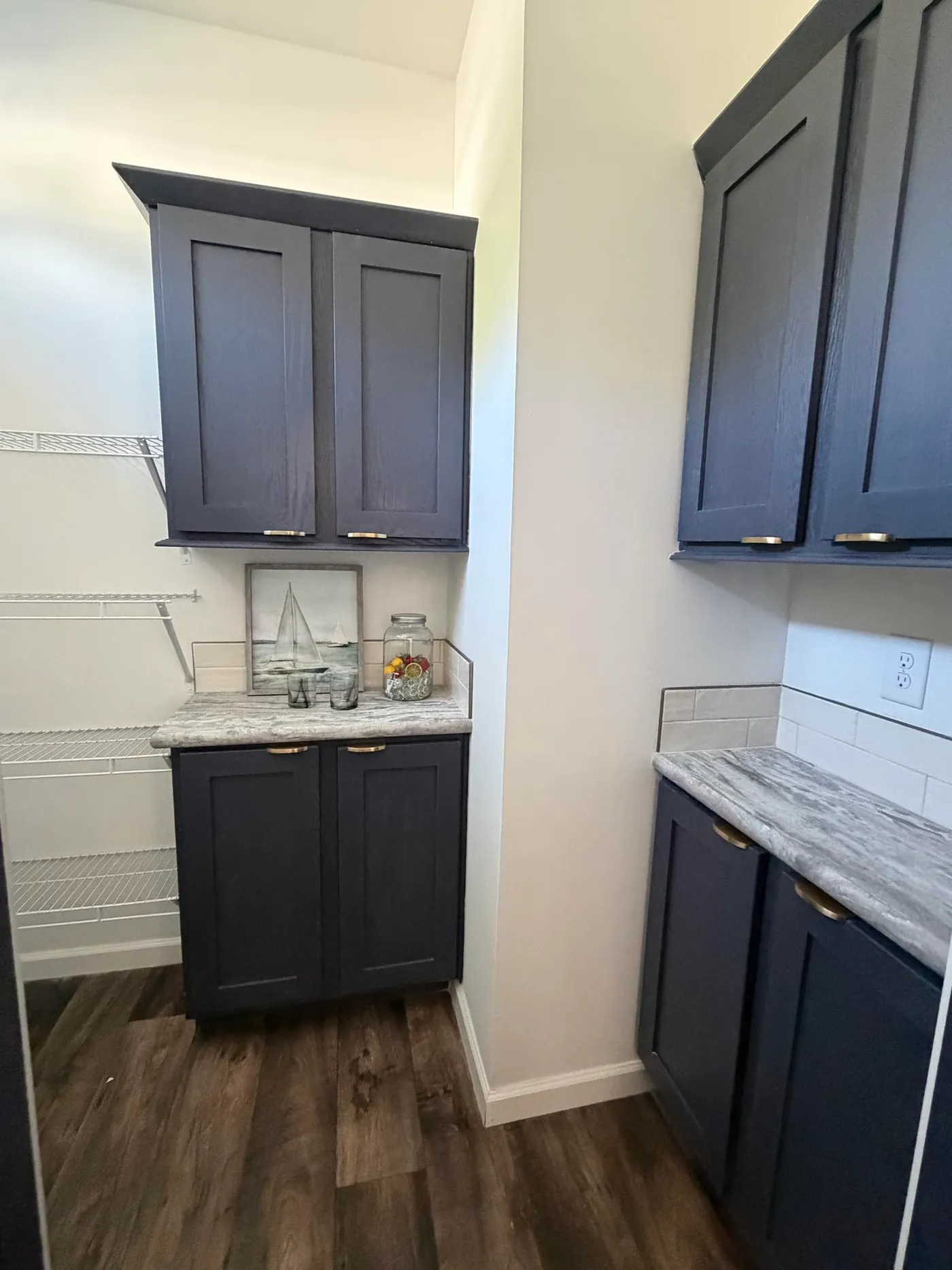 Hidden walk in pantry