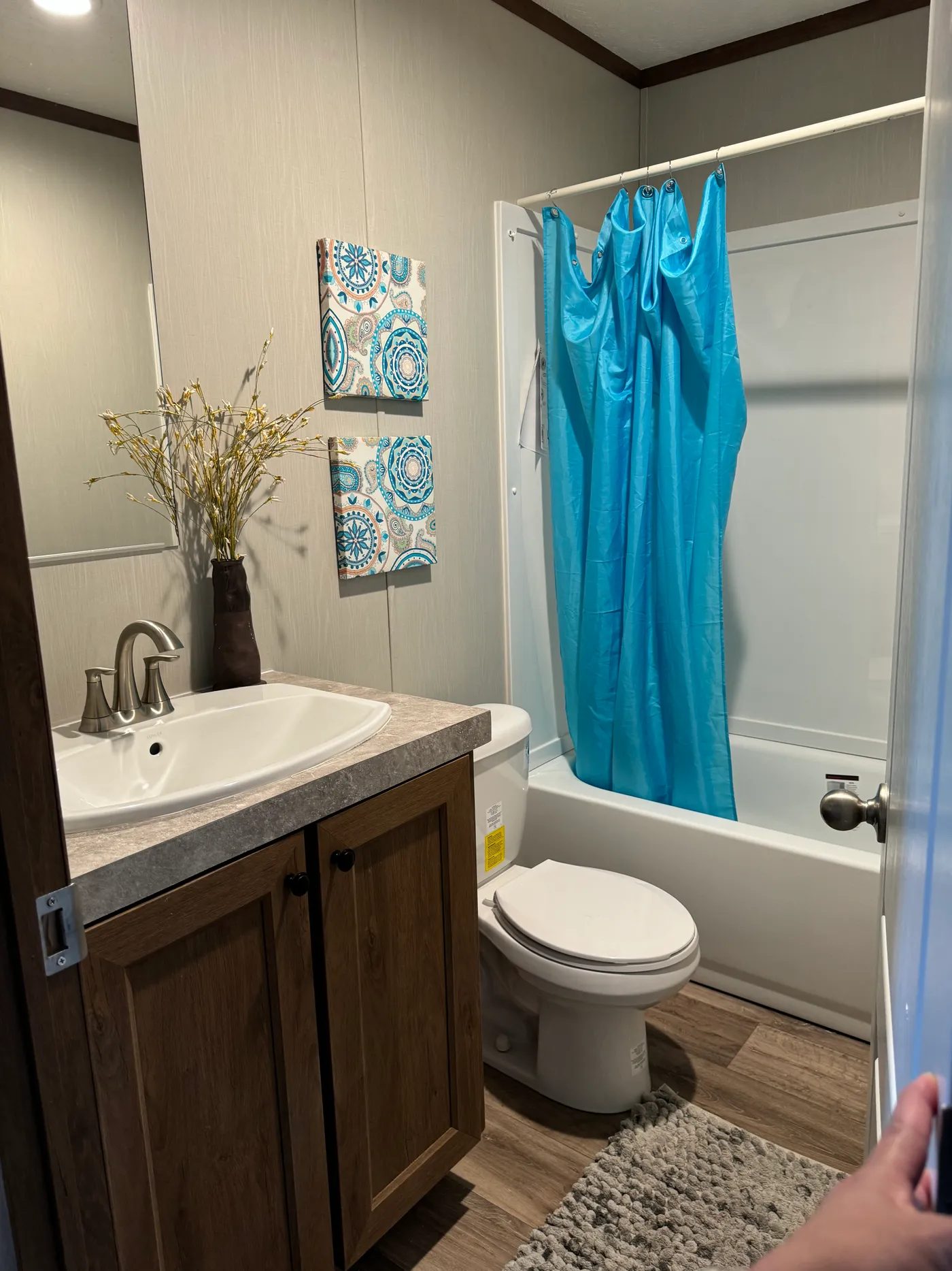 home image