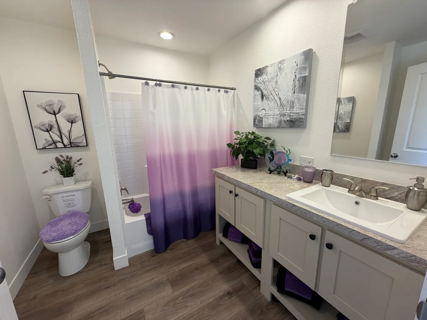 home image