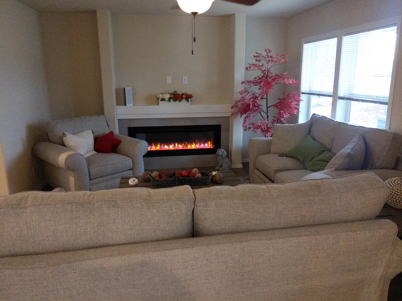home image