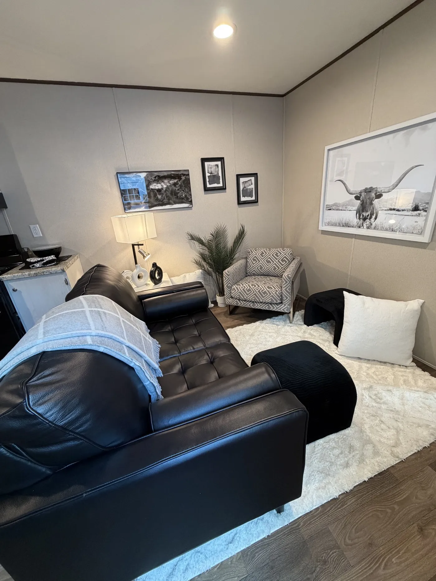home image